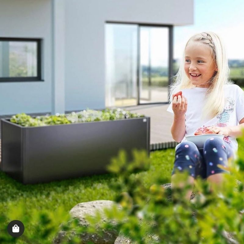 Podwyższone grządki VegetableBed 201x102x77 cm