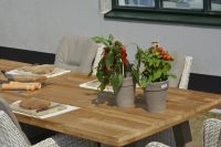 Środek ochronny Teak Protector, 1 l 