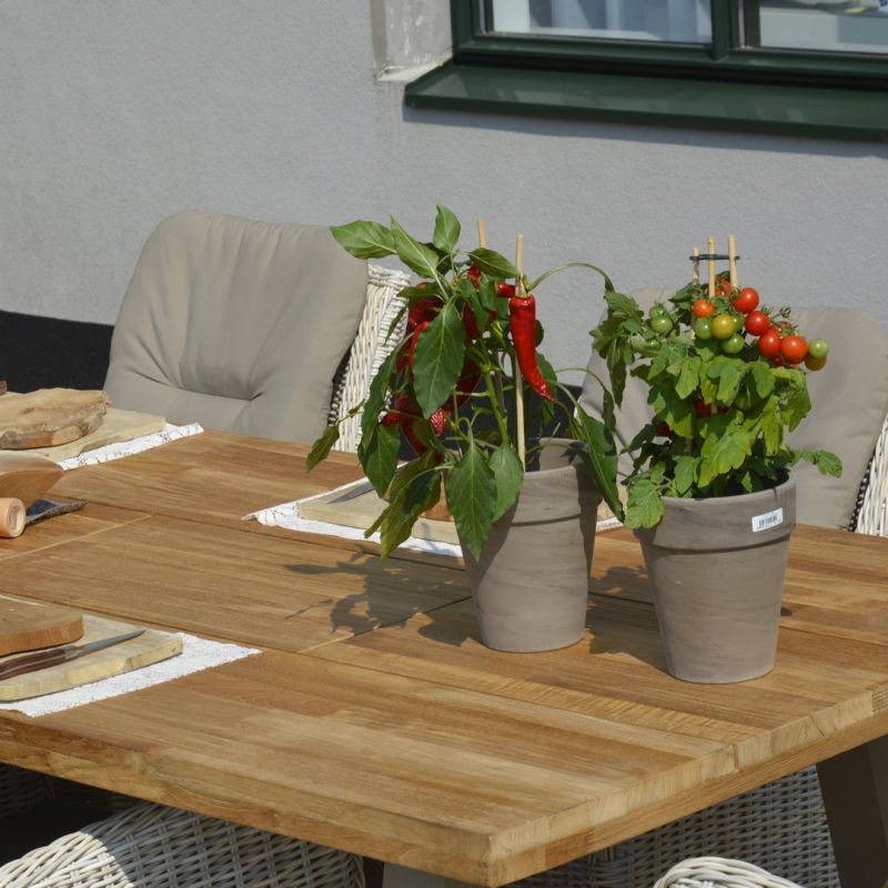 Środek ochronny Teak Protector, 1 l 