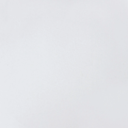 Blat Topalit Standard White